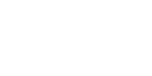Inicio 28 andesia-logo-white